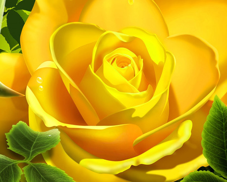 yellow rose - yellow, 3d, rose