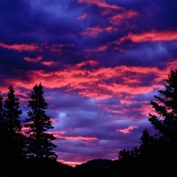 Purple & Pink Sky