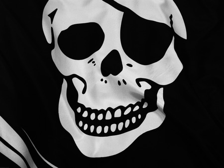 pirate skull - skull, art