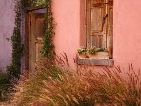 Adobe Home - autumn, ome, arizona, tucson, vine, fall, home, window, weeds, house, grass, vines, ornamental grass, pink, door, flowers, tucson arizona