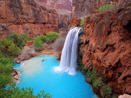 arizona grand canyon - trees, waterfall, beautiful, lake, mountains, rocks