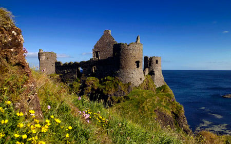 Castle Ruins - nature, castles