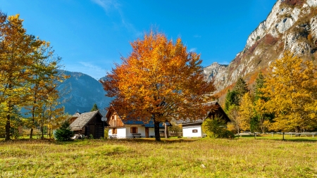 Autumn in Slovenia - Slovenia, beautiful, tree, mountain, village, fall, autumn, houses, sky