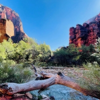 Zion National Park, Utah