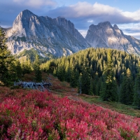 Red Carpet in Alps