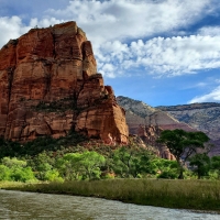 At the banks of the Virgin River in Zion NP