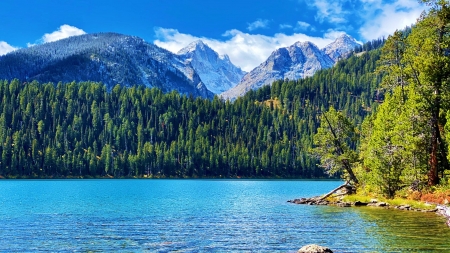 Grand Tetons over Bradley Lake - clouds, trees, USA, Wyoming, landscape, mountains, forest, sky