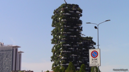 Virtual Forest Building, Milan, Italy