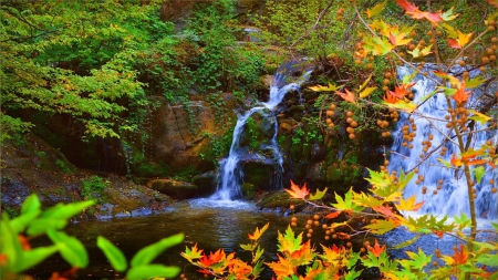 Autumn Waterfall - fall, cascade, colors, leaves, rocks