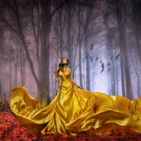 Model Posing in a Gold Gown