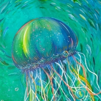 Jellyfish