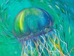 Jellyfish