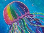 Rainbow jellyfish