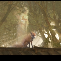 Kitsune