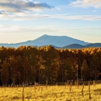 Fall colors on full display near Flagstaff, Arizona