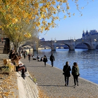 Autumn in Paris