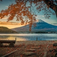 Mount Fuji in Autumn