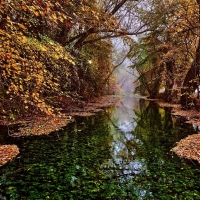 Autumn-of-the-river-Salza-near-Nordhausen-Harz-in-Germany