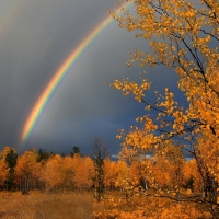 autumn rainbow