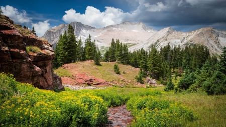 Snowmass Mountain, Colorado - clouds, wildflowers, usa, trees, landscape, rocks, sky