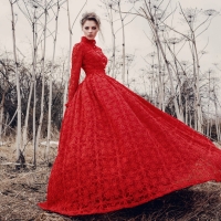 Model in a Beautiful Red Lace Dress