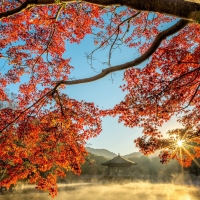 Autumn in Japan