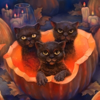 Halloween kittens