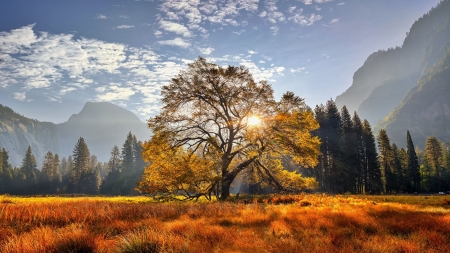 Yosemite National Park, California