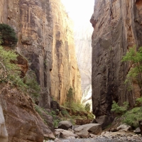 The Narrows of Zion, Utah