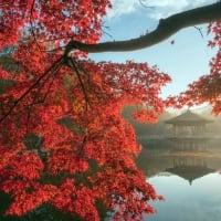 Lake in Nara, Japan