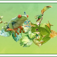 FROGS ON LEAVES