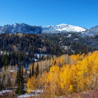 Near Blood Lake, Utah