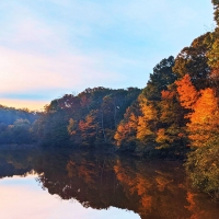 The muddy waters of the Chattahoochee matching the fall foliage