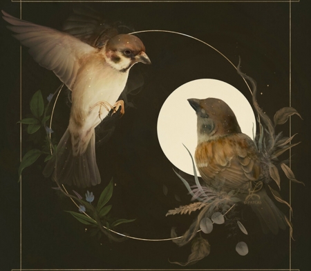 Sparrows - moon, fark, patcas, night, patricia casarrubios, sparrow, pasari, fantasy, art, vrabie, luminos, luna, parcas