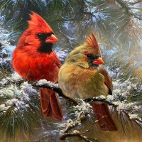 Cardinals in a Christmas Tree