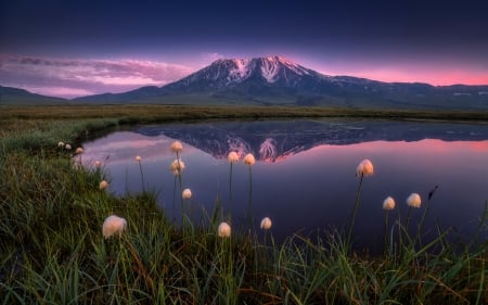 Mountain Lake Reflection - flowers, lake, reflection, mountain