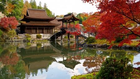 Pagoda - Japanese, pond, garden, pagoda, bridge