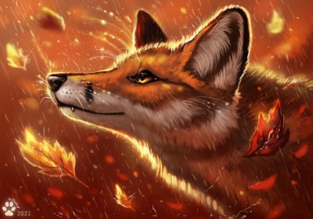 Fox