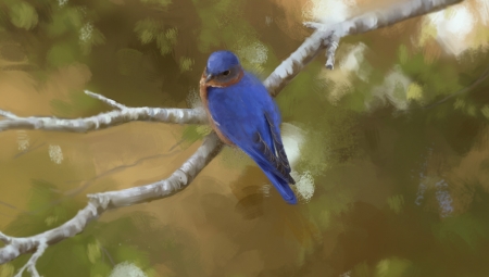 Blue bird - blue, natalie, art, bird, pasari