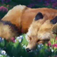 Sleeping fox