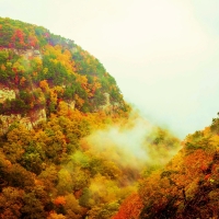 Cloudland Canyon State Park, Georgia