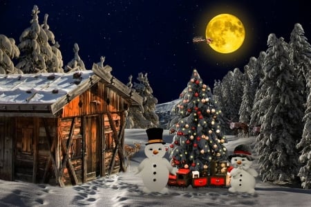 Magical Christmas Night - sleigh, christmas, santa, flying, night, magical