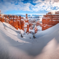 Fresh Snow on Bryce Canyon NP, Utah