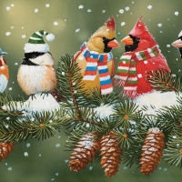 Festive Birds On A Snowy Branch