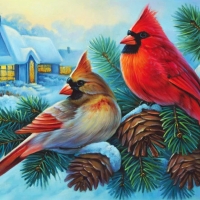 Winter Cardinals