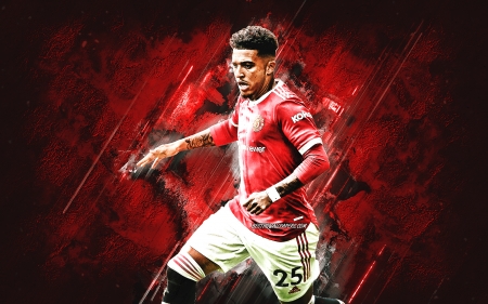 Jadon Sancho - manchester united, sancho, jaydon sancho, football
