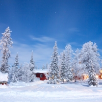 Cabins in Winter