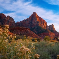 The Watchman - Zion National Park