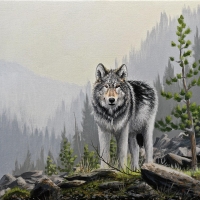Grey King of Mountains