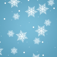 Winter Pattern